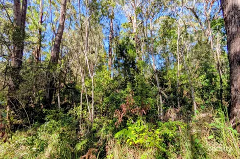 14 Borrows St, Russell Island, QLD 4184