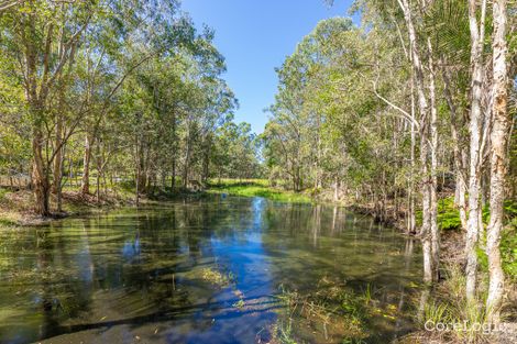 Property photo of 105 McClintock Road Wamuran QLD 4512