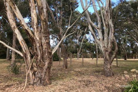 Property photo of 70-74 Hensley Park Road Hamilton VIC 3300