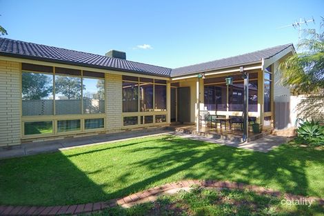 Property photo of 11 Jasmine Avenue Marion SA 5043