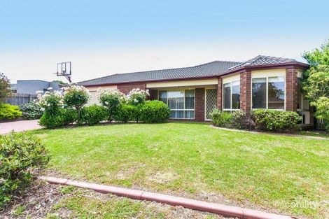 43 Glaneuse Ave, Torquay, VIC 3228