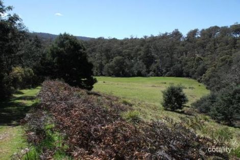 Property photo of 1494 Upper Esk Road Upper Esk TAS 7214