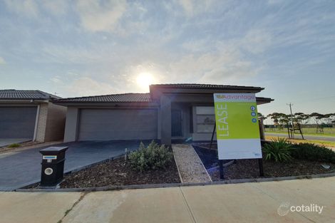 Property photo of 15 Mulloway Drive Point Cook VIC 3030