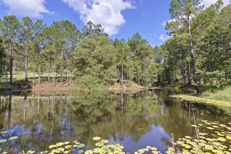 Property photo of 62 Old Mill Road Carters Ridge QLD 4563