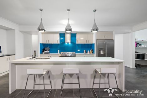 Property photo of 33 Waterfern Way Ripley QLD 4306
