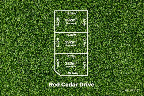 20 Red Cedar Dr, Reynella, SA 5161