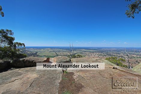Property photo of 18 Harcourt-Sutton Grange Road Harcourt North VIC 3453