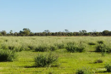 5643 Pitherty Rd, Eulo, QLD 4491