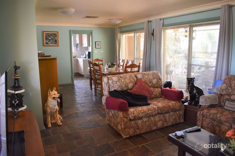 Property photo of 135 Euchie Street Peak Hill NSW 2869