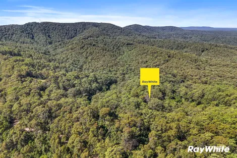 291D BROOMAN RD, MORTON, NSW 2538