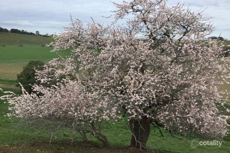 Property photo of 60 Viaduct Road Moorabool VIC 3213