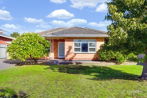 Property photo of 30 Scottish Avenue Clovelly Park SA 5042