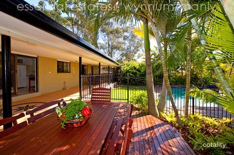 Property photo of 71 Whitehall Avenue Birkdale QLD 4159