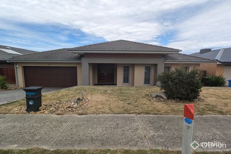 Property photo of 11 Ridgeline Drive Botanic Ridge VIC 3977
