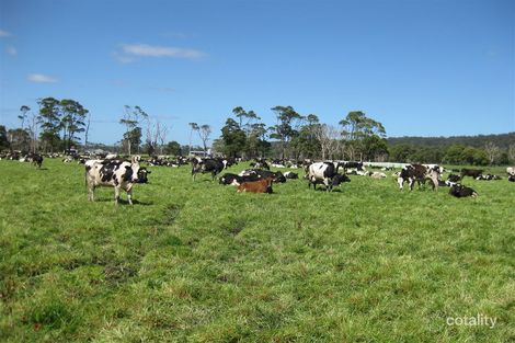 325 Rennison Rd, Togari, TAS 7330