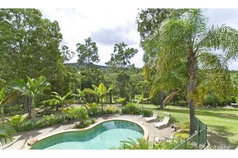 Property photo of 69 Birdlife Court Nerang QLD 4211