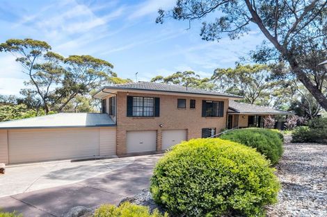 19 Treetop Tce, Belair, SA 5052