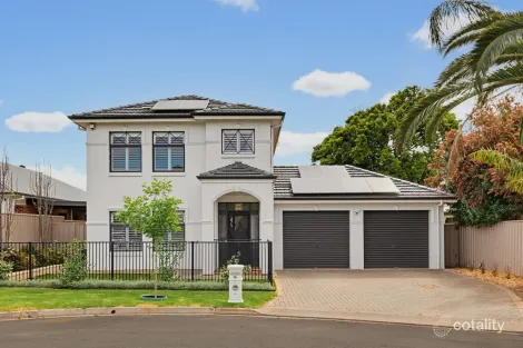 1b Mitchell St, Glengowrie, SA 5044