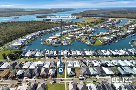 Property photo of 37 Hamilton Drive Jacobs Well QLD 4208