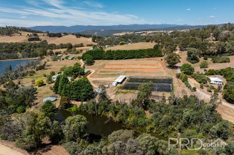56 Mines Rd, Batlow, NSW 2730