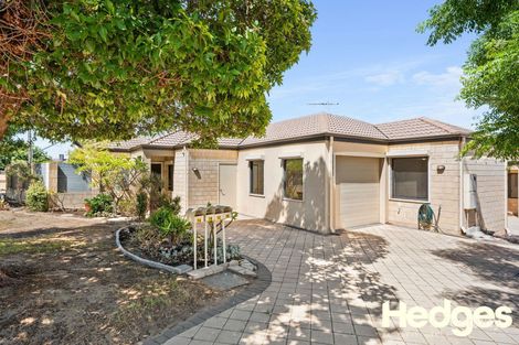 Property photo of 1A Wooramel Way Nollamara WA 6061