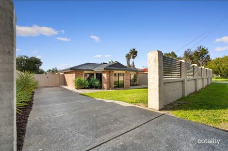 31 Mottlecah Way, Mirrabooka, WA 6061