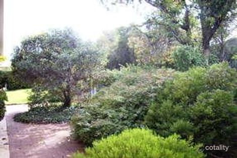 Property photo of 3 Petch Street Loxton SA 5333