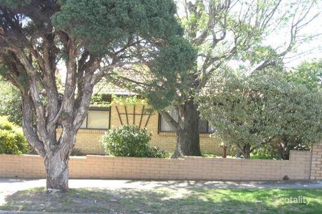 Property photo of 22 Grandview Grove Moorabbin VIC 3189