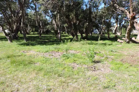 105 Meridan Rd, Golden Beach, VIC 3851