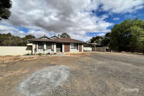 12 Peppermint Rd, Lewiston, SA 5501