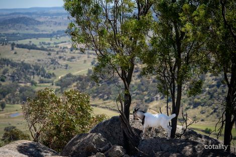 Property photo of 19 Springvale Road Wyangala NSW 2808