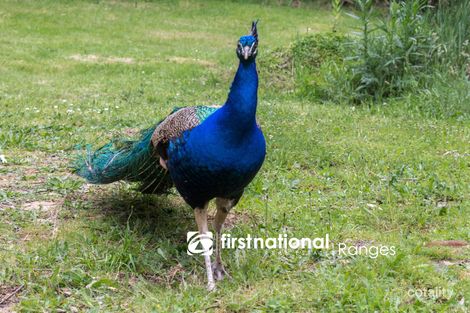 387 Mt Eirene Rd, Gembrook, VIC 3783