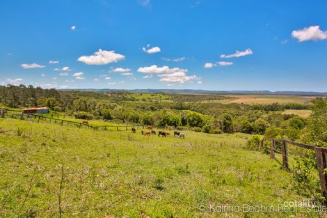 112 Tuckurimba Rd, Tuckurimba, NSW 2480