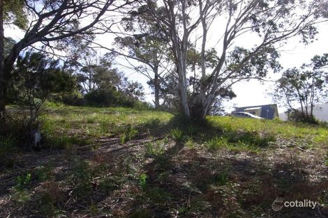 Property photo of 10 Nailer Avenue Bicheno TAS 7215