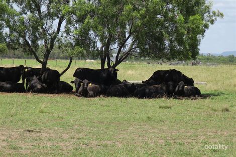 257 Lanyon Rd, South Yaamba, QLD 4702