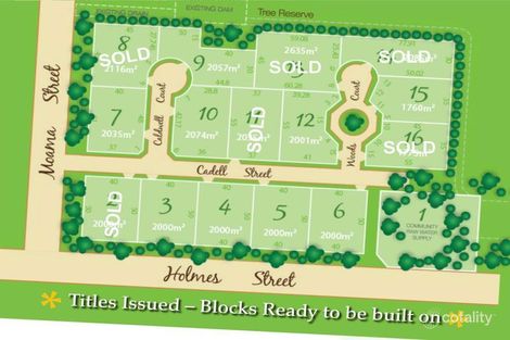 4 Cadell St, Moama, NSW 2731