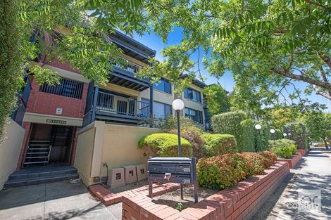 21/137 Anzac Hwy, Kurralta Park, SA 5037