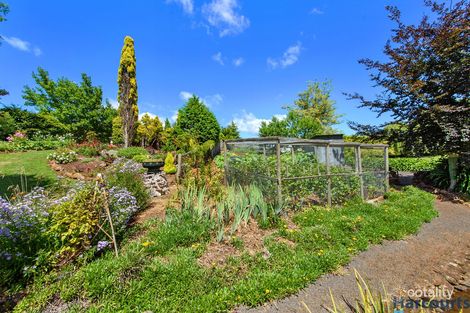 Property photo of 270 Paloona Road Paloona TAS 7310