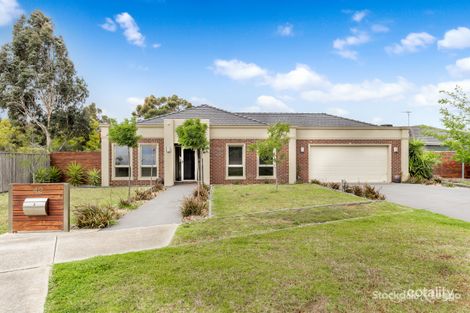 Property photo of 42 Dalcruin Drive Bannockburn VIC 3331