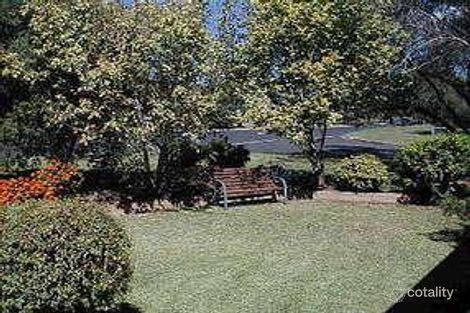 Property photo of 21 Adams Street Muswellbrook NSW 2333