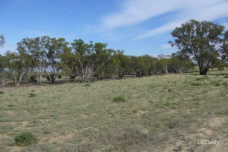 Property photo of 164 Dry Lake Road Euston NSW 2737