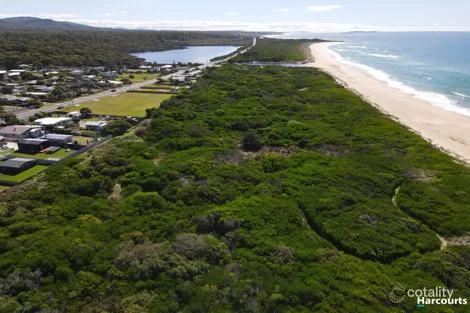 Property photo of 17 Scamander Avenue Scamander TAS 7215