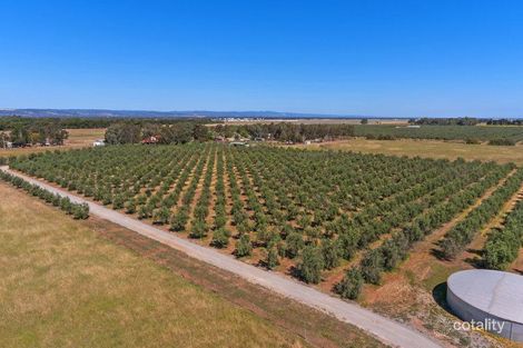 51 Lovey Rd, Penfield, SA 5121