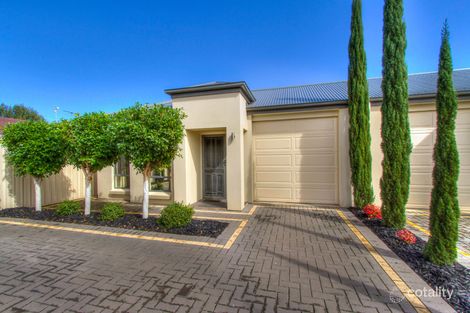 12 Cairns Ave, Warradale, SA 5046