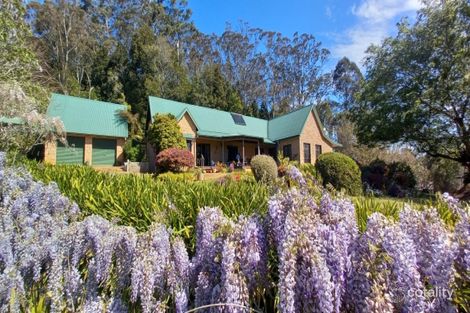 339 Maynards Plains Rd, Dorrigo Mountain, NSW 2453