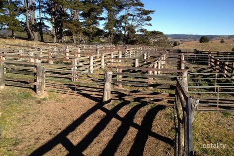 8951 Nowendoc Rd, Nowendoc, NSW 2354