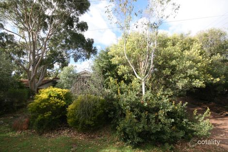 43 Hamilton Cres, Aberfoyle Park, SA 5159