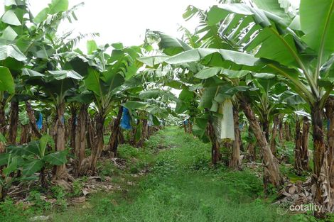 Lot 1 Old Ferry Rd, Sundown, QLD 4860