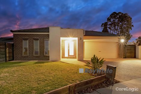 Property photo of 3 Lainie Court Mildura VIC 3500