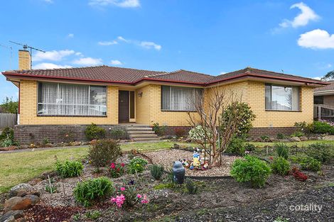 13 Stork Ave, Belmont, VIC 3216
